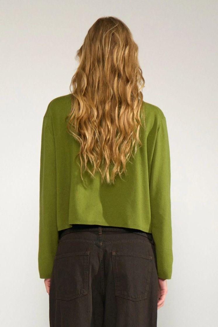 Carma crop pullover 4060 Calla Gree