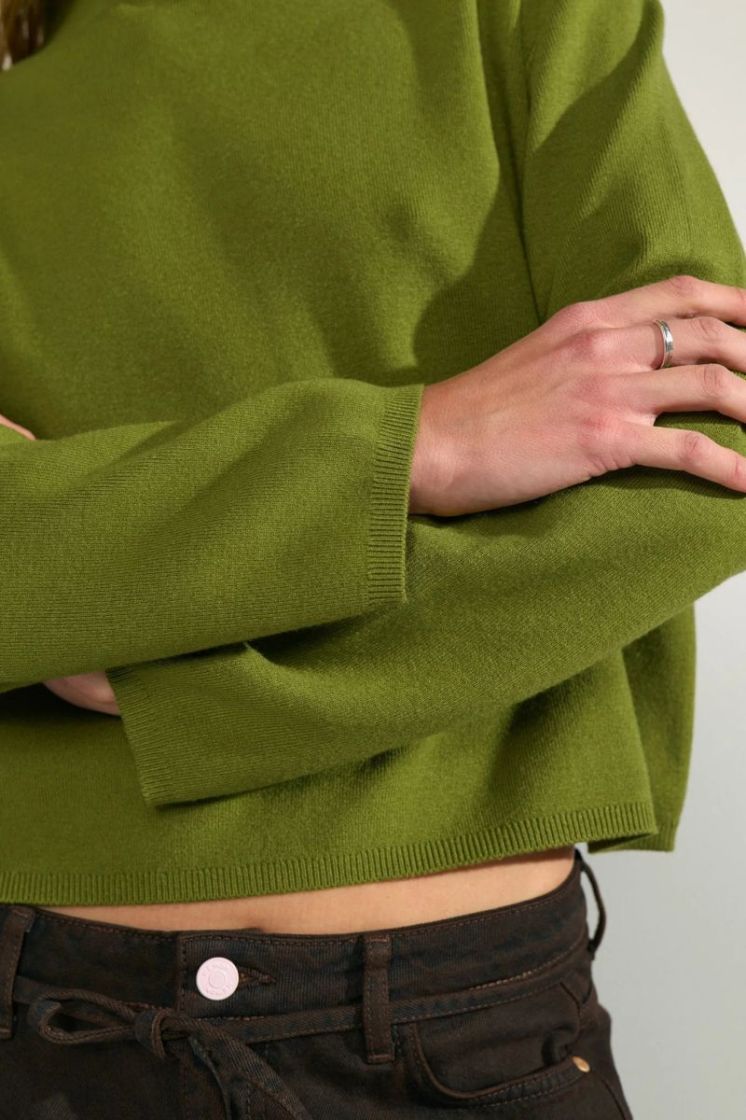 Carma crop pullover 4060 Calla Gree