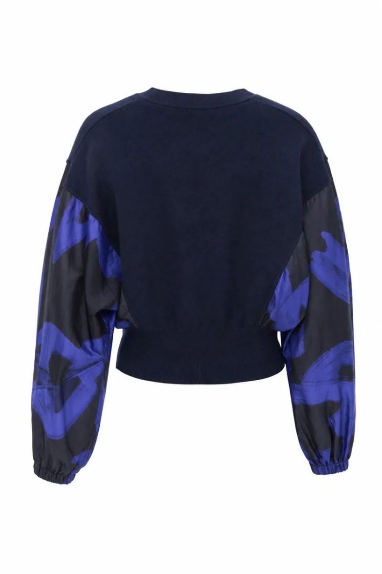 Top Scott DELPHINIUM